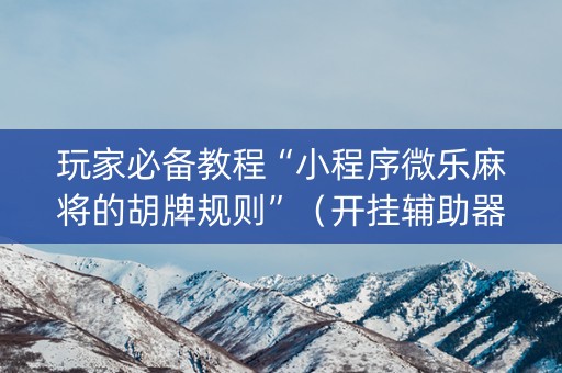 玩家必备教程“小程序微乐麻将的胡牌规则”（开挂辅助器脚本)