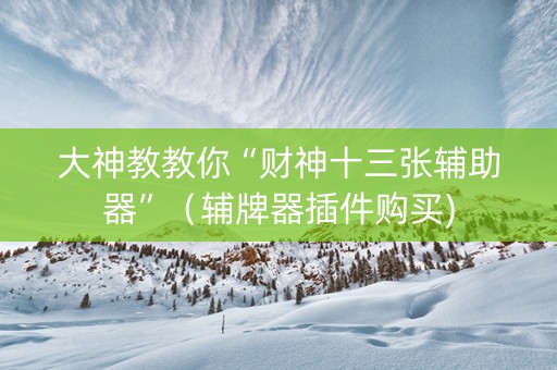 大神教教你“财神十三张辅助器”（辅牌器插件购买)