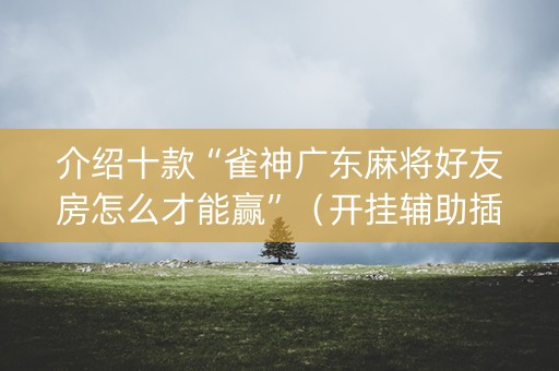 介绍十款“雀神广东麻将好友房怎么才能赢”（开挂辅助插件)