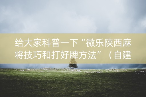 给大家科普一下“微乐陕西麻将技巧和打好牌方法”（自建房怎么赢)