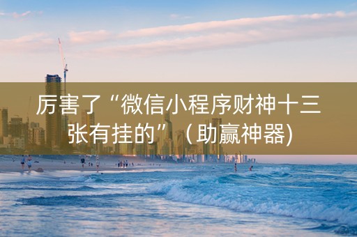 厉害了“微信小程序财神十三张有挂的”（助赢神器)