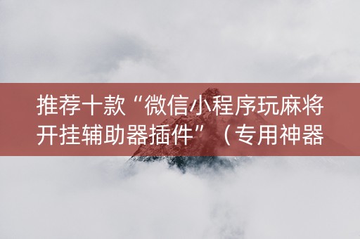 推荐十款“微信小程序玩麻将开挂辅助器插件”（专用神器)