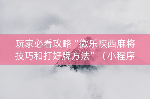 玩家必看攻略“微乐陕西麻将技巧和打好牌方法”（小程序辅助软件)