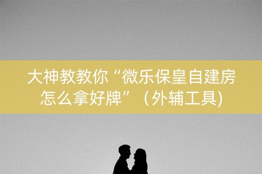 大神教教你“微乐保皇自建房怎么拿好牌”（外辅工具)