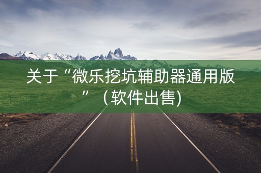 关于“微乐挖坑辅助器通用版”（软件出售)