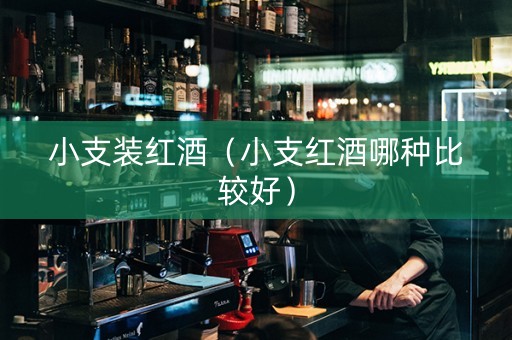 小支装红酒（小支红酒哪种比较好）