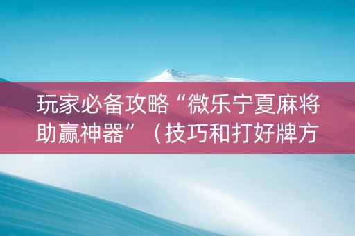 玩家必备攻略“微乐宁夏麻将助赢神器”（技巧和打好牌方法)