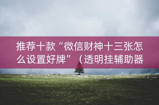 推荐十款“微信财神十三张怎么设置好牌”（透明挂辅助器)