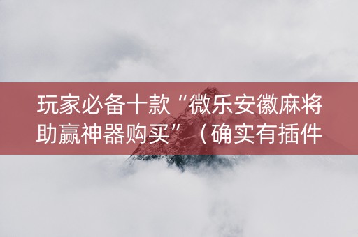 玩家必备十款“微乐安徽麻将助赢神器购买”（确实有插件吗)