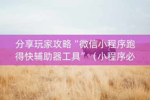 分享玩家攻略“微信小程序跑得快辅助器工具”（小程序必赢神器)