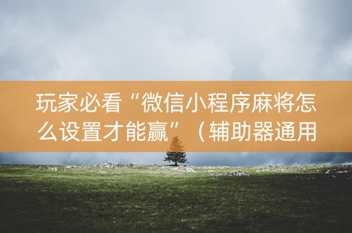 玩家必看“微信小程序麻将怎么设置才能赢”（辅助器通用版)