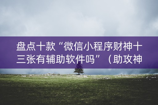 盘点十款“微信小程序财神十三张有辅助软件吗”（助攻神器)