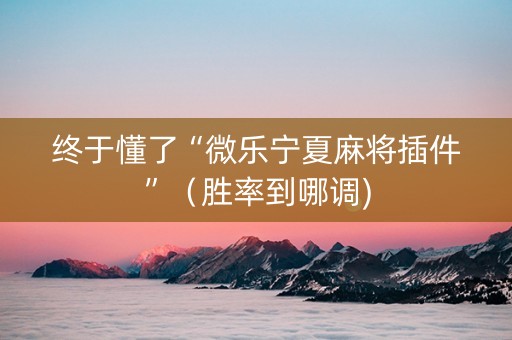 终于懂了“微乐宁夏麻将插件”（胜率到哪调)
