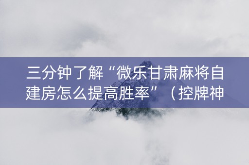 三分钟了解“微乐甘肃麻将自建房怎么提高胜率”（控牌神器)