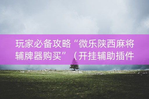 玩家必备攻略“微乐陕西麻将辅牌器购买”（开挂辅助插件)