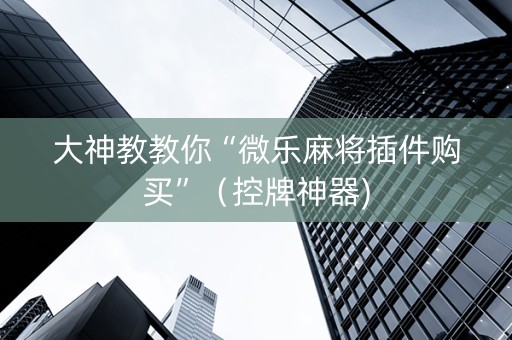 大神教教你“微乐麻将插件购买”（控牌神器)