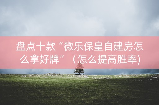 盘点十款“微乐保皇自建房怎么拿好牌”（怎么提高胜率)