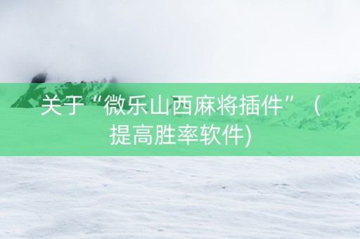 关于“微乐山西麻将插件”（提高胜率软件)