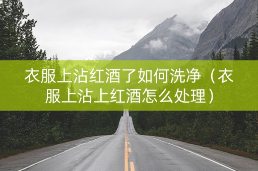 衣服上沾红酒了如何洗净（衣服上沾上红酒怎么处理）