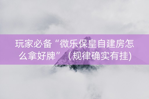 玩家必备“微乐保皇自建房怎么拿好牌”（规律确实有挂)