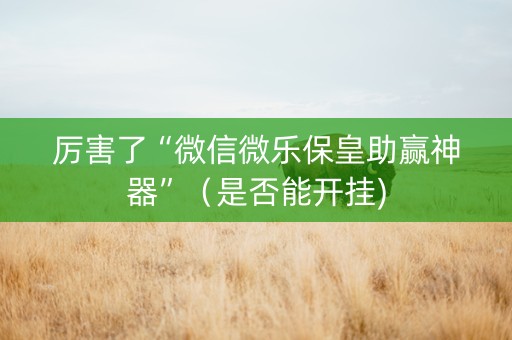 厉害了“微信微乐保皇助赢神器”（是否能开挂)