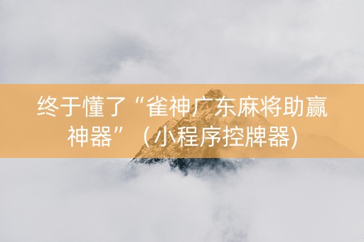 终于懂了“雀神广东麻将助赢神器”（小程序控牌器)