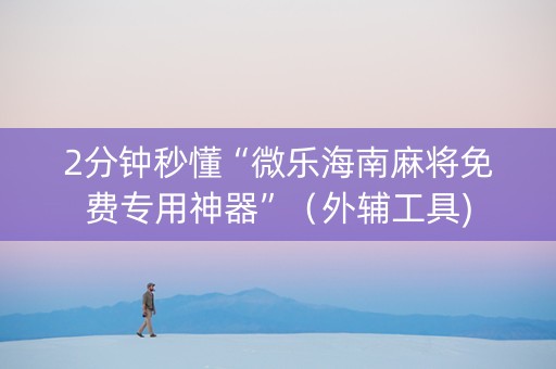 2分钟秒懂“微乐海南麻将免费专用神器”（外辅工具)
