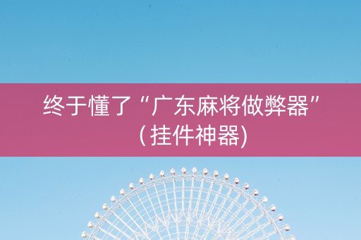 终于懂了“广东麻将做弊器”（挂件神器)