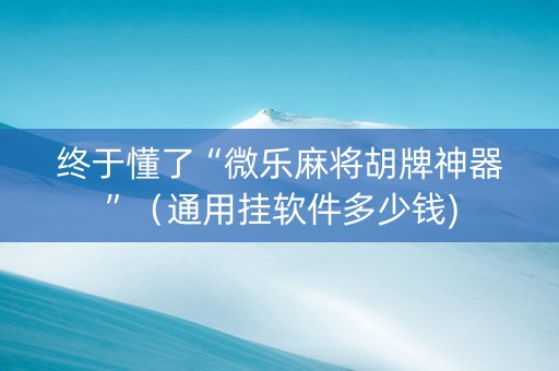 终于懂了“微乐麻将胡牌神器”（通用挂软件多少钱)