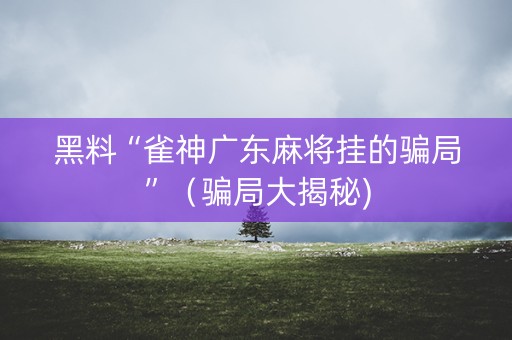 黑料“雀神广东麻将挂的骗局”（骗局大揭秘)