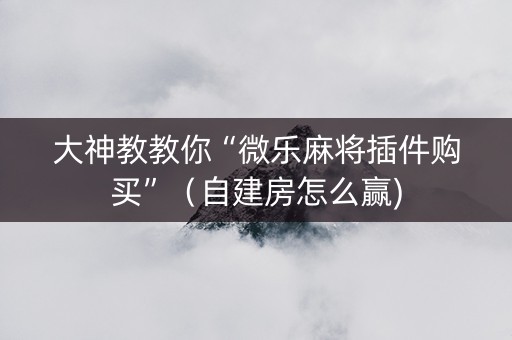 大神教教你“微乐麻将插件购买”（自建房怎么赢)