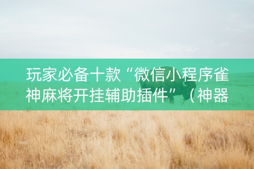 玩家必备十款“微信小程序雀神麻将开挂辅助插件”（神器最新免费)
