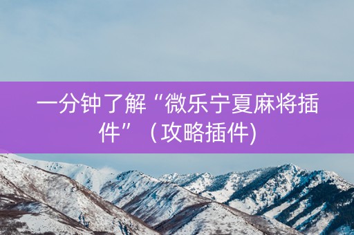 一分钟了解“微乐宁夏麻将插件”（攻略插件)