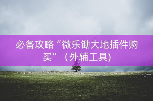 必备攻略“微乐锄大地插件购买”（外辅工具)