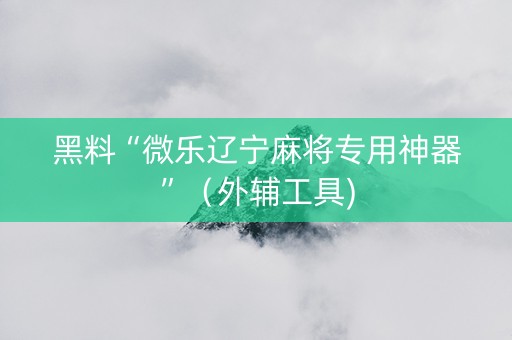 黑料“微乐辽宁麻将专用神器”（外辅工具)
