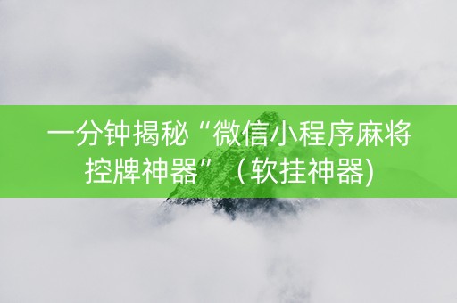 一分钟揭秘“微信小程序麻将控牌神器”（软挂神器)