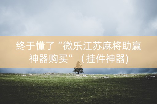 终于懂了“微乐江苏麻将助赢神器购买”（挂件神器)