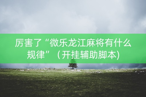 厉害了“微乐龙江麻将有什么规律”（开挂辅助脚本)
