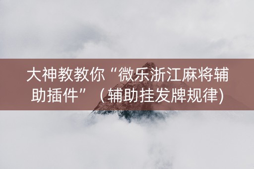 大神教教你“微乐浙江麻将辅助插件”（辅助挂发牌规律)
