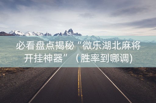 必看盘点揭秘“微乐湖北麻将开挂神器”（胜率到哪调)