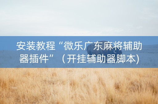 安装教程“微乐广东麻将辅助器插件”（开挂辅助器脚本)