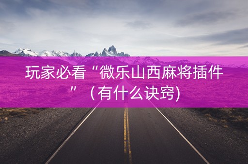 玩家必看“微乐山西麻将插件”（有什么诀窍)