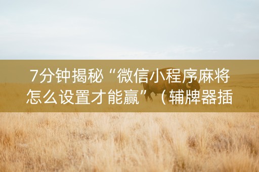 7分钟揭秘“微信小程序麻将怎么设置才能赢”（辅牌器插件购买)