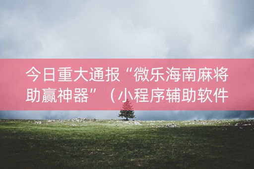 今日重大通报“微乐海南麻将助赢神器”（小程序辅助软件)