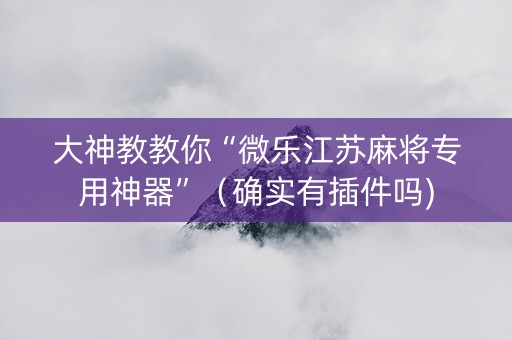 大神教教你“微乐江苏麻将专用神器”（确实有插件吗)