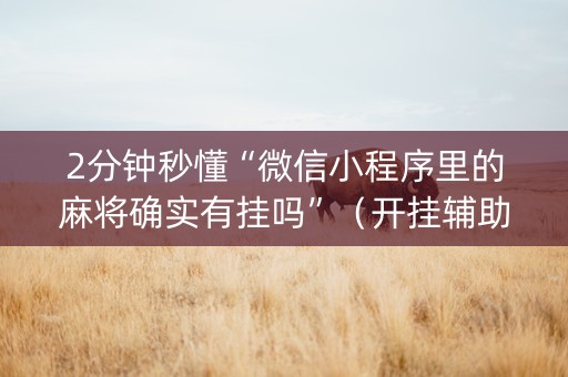 2分钟秒懂“微信小程序里的麻将确实有挂吗”（开挂辅助器插件)