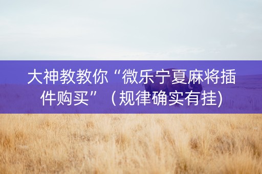 大神教教你“微乐宁夏麻将插件购买”（规律确实有挂)