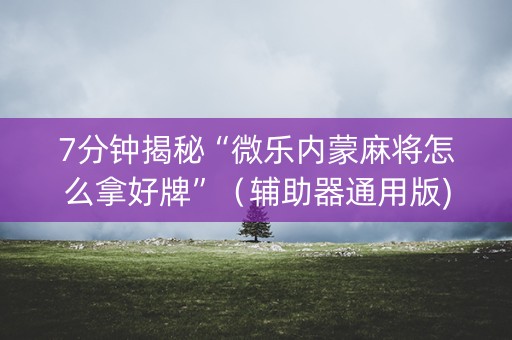7分钟揭秘“微乐内蒙麻将怎么拿好牌”（辅助器通用版)