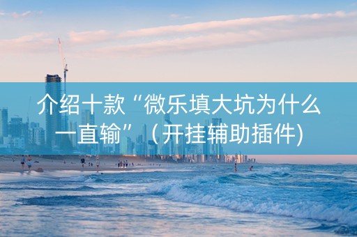 介绍十款“微乐填大坑为什么一直输”（开挂辅助插件)