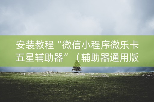 安装教程“微信小程序微乐卡五星辅助器”（辅助器通用版)